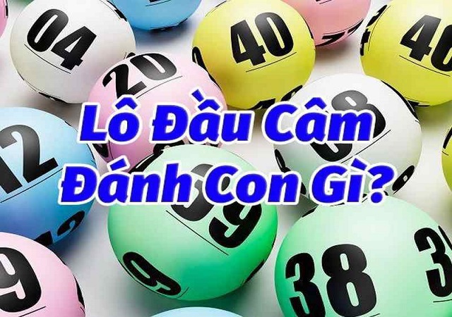 Xuất hiện lô câm nên đánh con gì